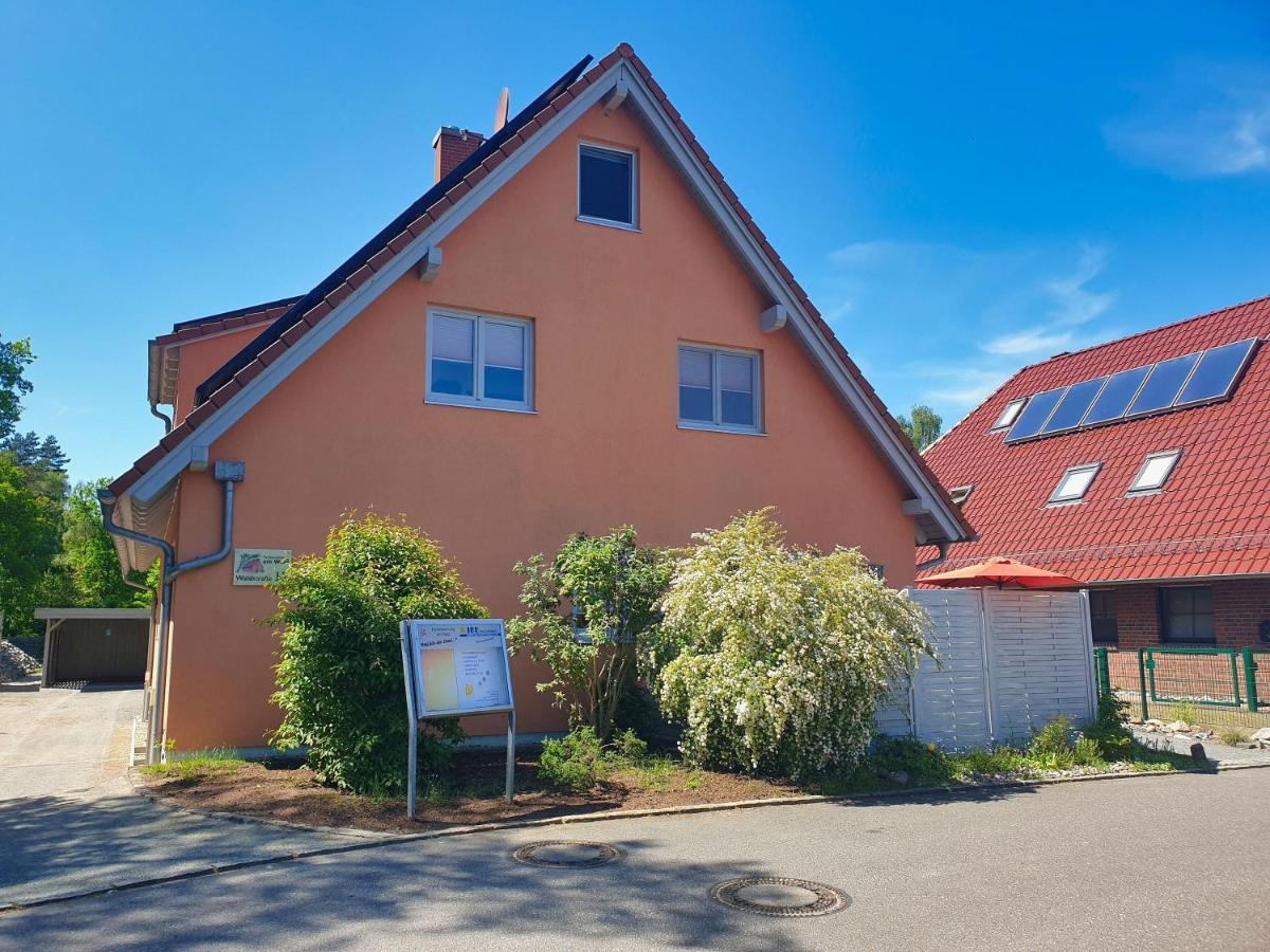 Moderne Fewo Nr 4 Mit Balkon, Sauna Im Haus, Garten - Ferienwohnungen Am Wald Klein Gelm 외부 사진
